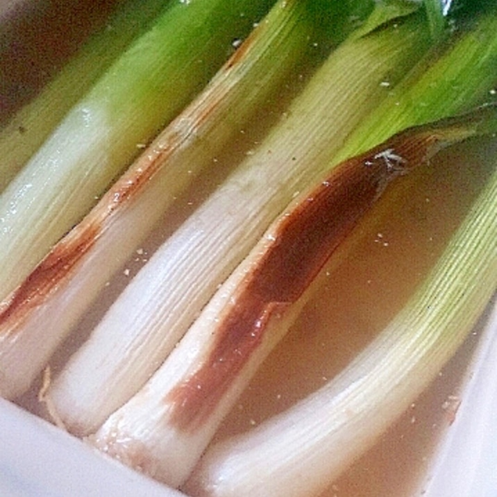リーク 野菜 リーク 野菜
